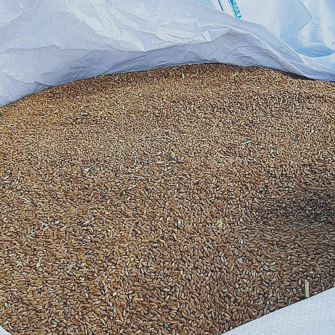 Macinazione a pietra